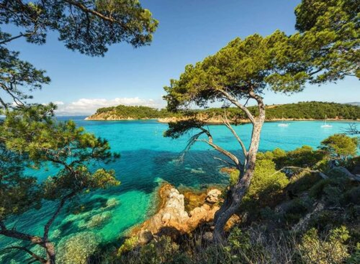 Djoser informatiedag